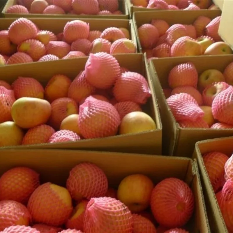 Wholesale Price Apple Fruit Organic Sweet Fresh Red Fuji Apple