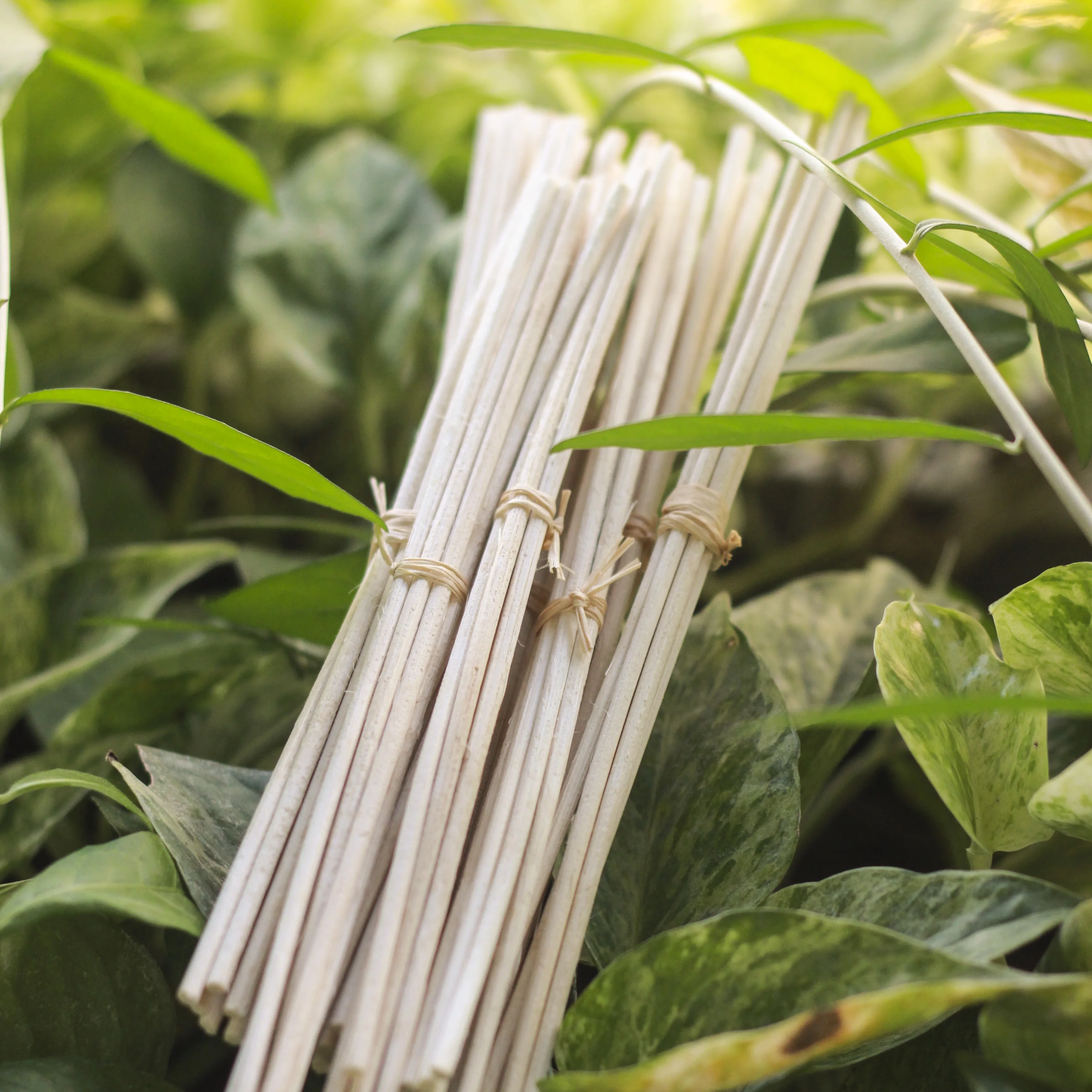 Bamboo And Rattan Essential Oil Diffusers Keep The Scent For A Long
