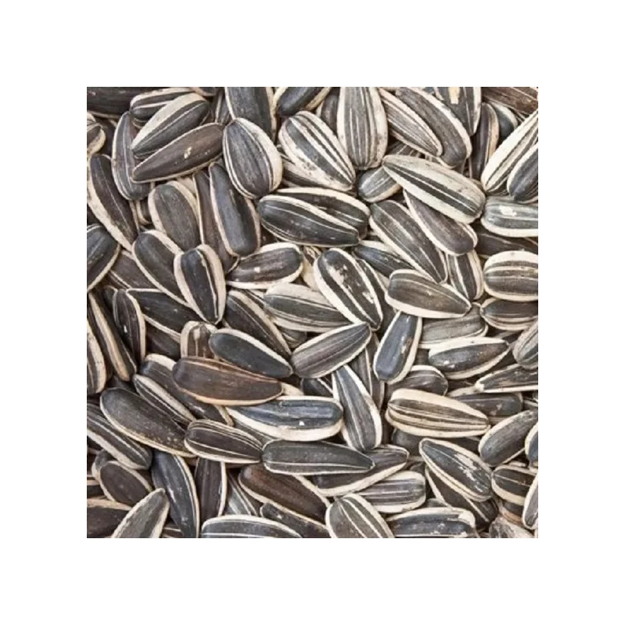 Different Types Of Sunflower Seeds / Sun Flower Seeds Kernel Buy Best