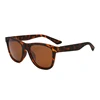 C4: Tortoise/ Brown