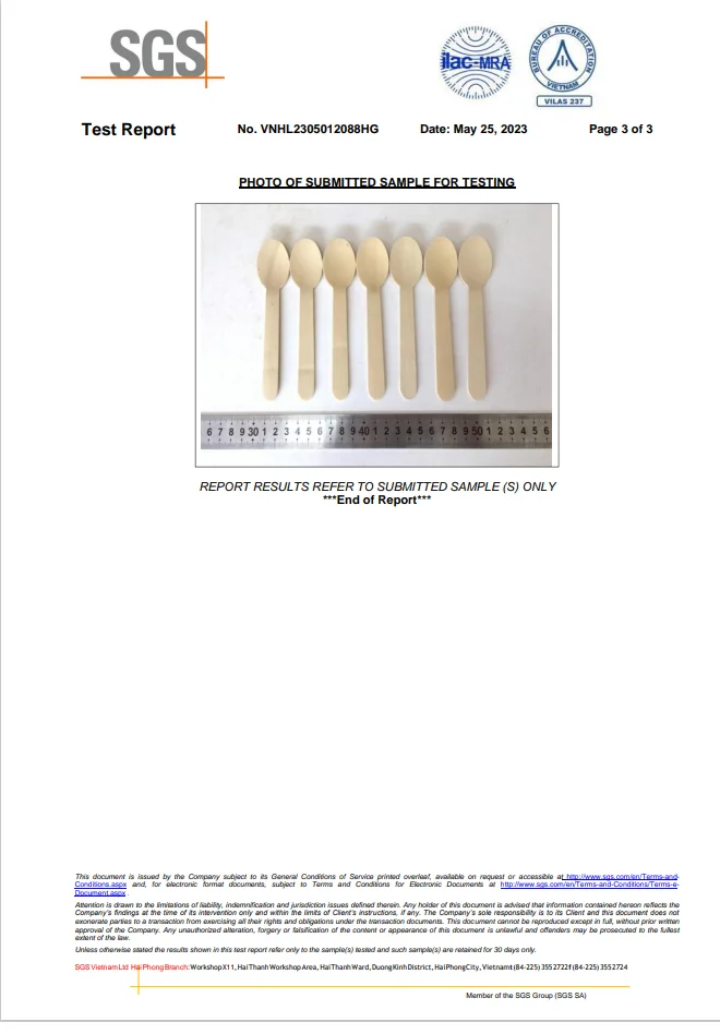 Vietnam Party Take Away Eco Friendly Disposables Dessert Wooden Spoon