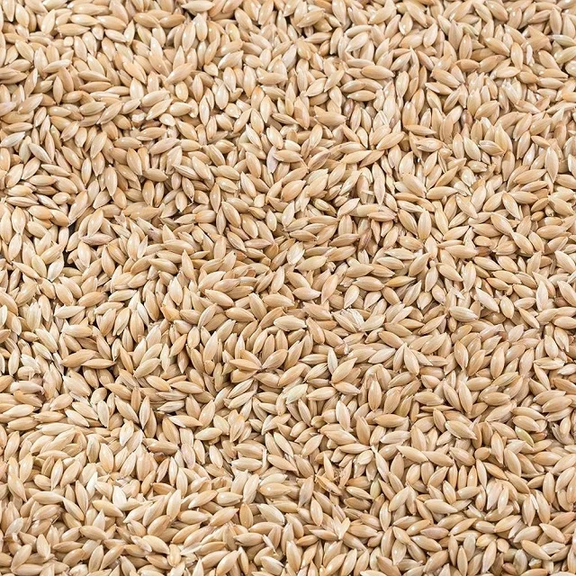 Canary Seed Animal (bird Feed) For Sale At Cheapest Wholesale Price In