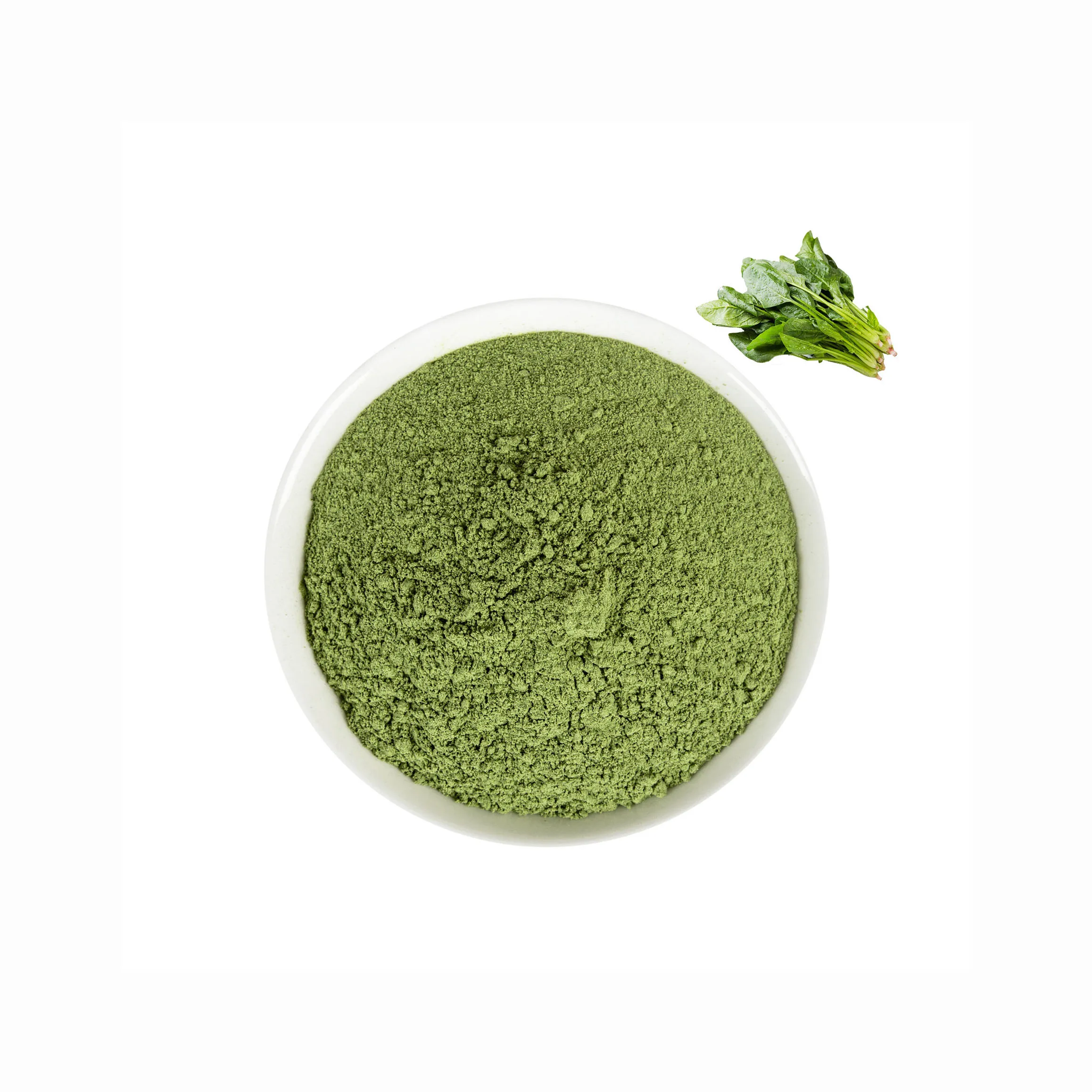 Vegetable Powder Spinach Extract Spinach Powder Buy Dry Organic