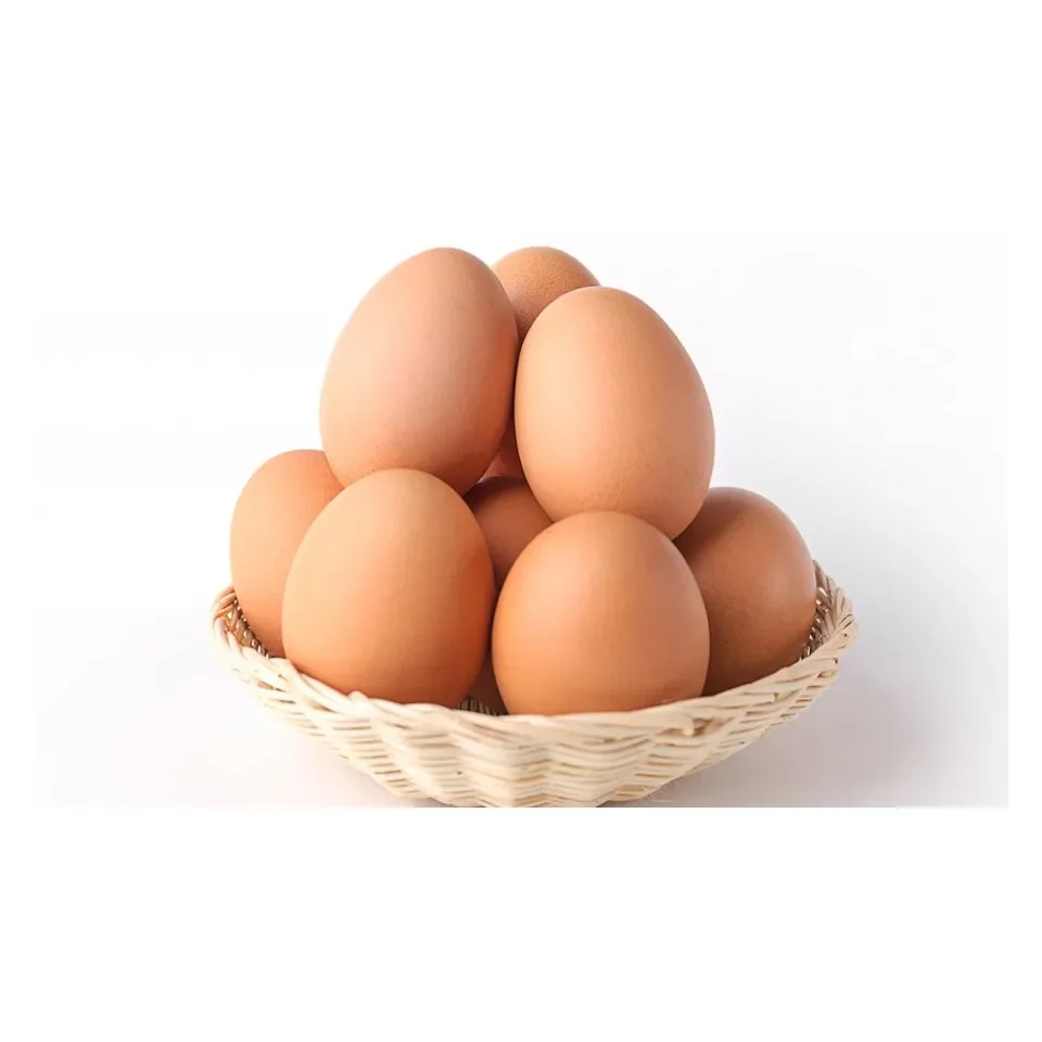 Farm Fresh Chicken Table Eggs Fertile/ Hatching Chicken Egg/ Broiler