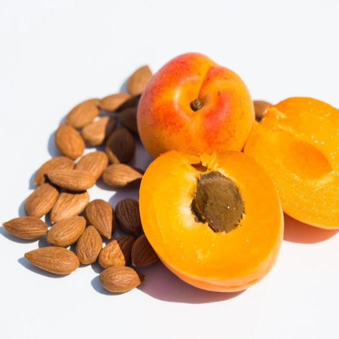 Ядрышко абрикосовой косточки. Apricot kernel. Ядро абрикосовой косточки. Абрикос косточка ядрышко. Косточки семена абрикос.