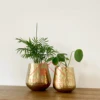 Antique Gold