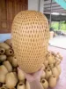 ทอง