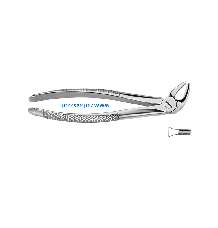 High Quality Stainless Steel Tooth Extracting Forceps Fig.4 Lower Canines and Bicuspids Surgical Dental Oral Surgery Tool