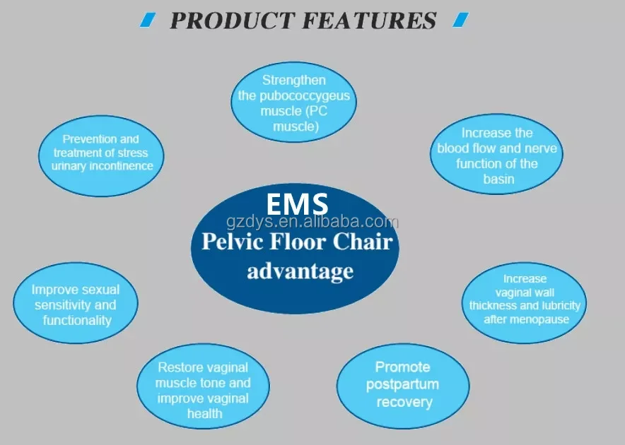 Pelvic Floor Muscle Recovry Chair Ems Urinary