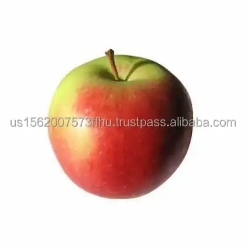 4085-500x500.jpg
