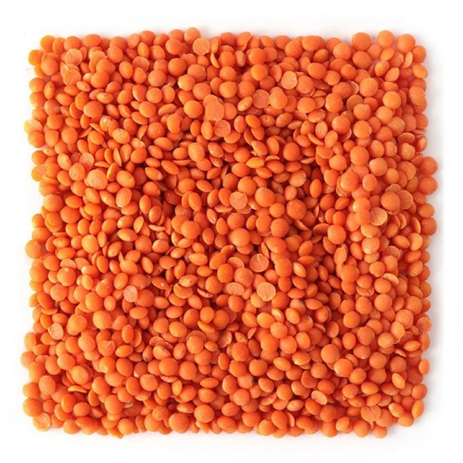 High Quality Bulk Dried whole split Lentils Red Lentils Green Lentils Cheap Price