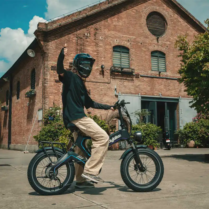 K6T Plus Electric Bike with Fat Tire Premium Electric Bicycle