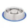 dog bowl