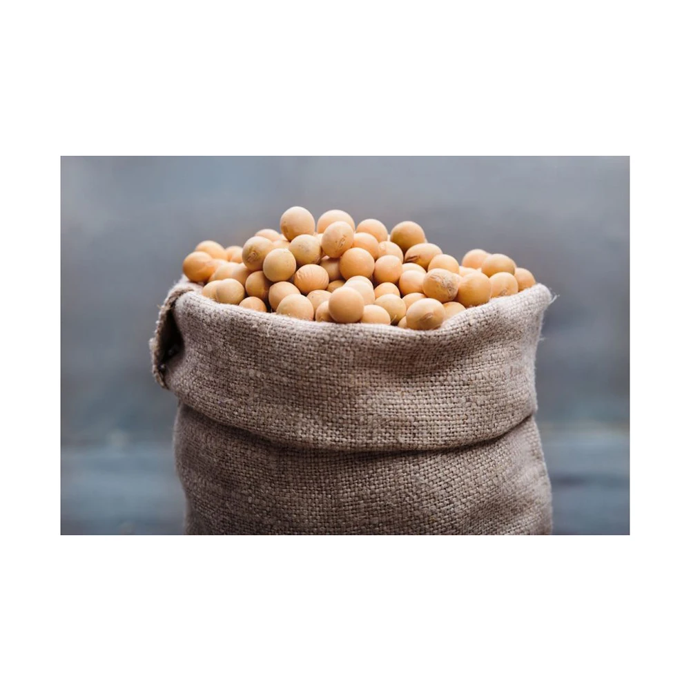 Non Gmo Soybeans / Soya Beans Soy Bean Seeds And Soya Bean Seeds Buy