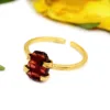 Red Garnet