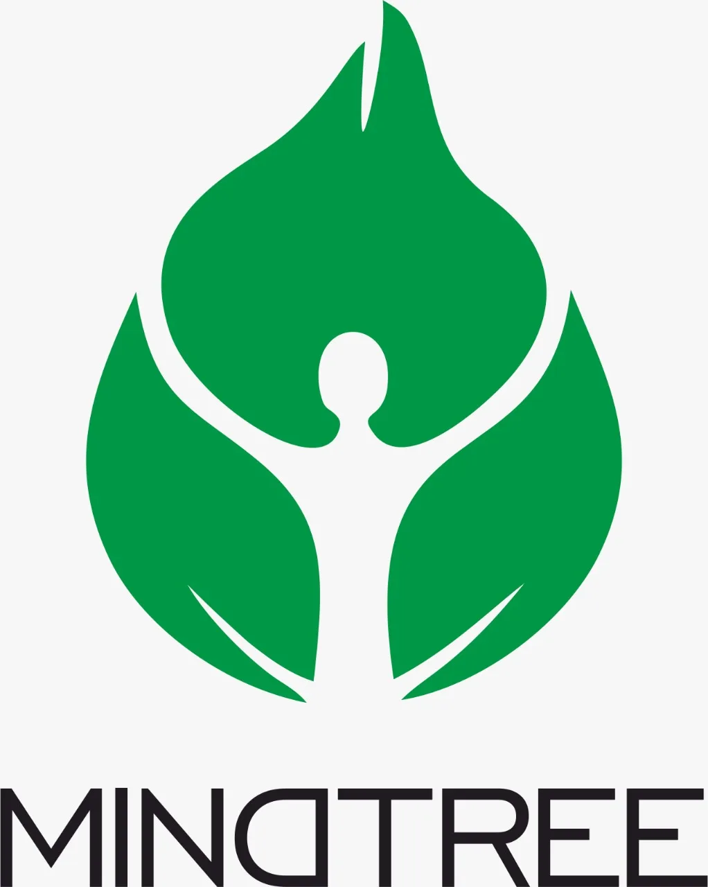 company-overview-mindtree-industries-private-limited