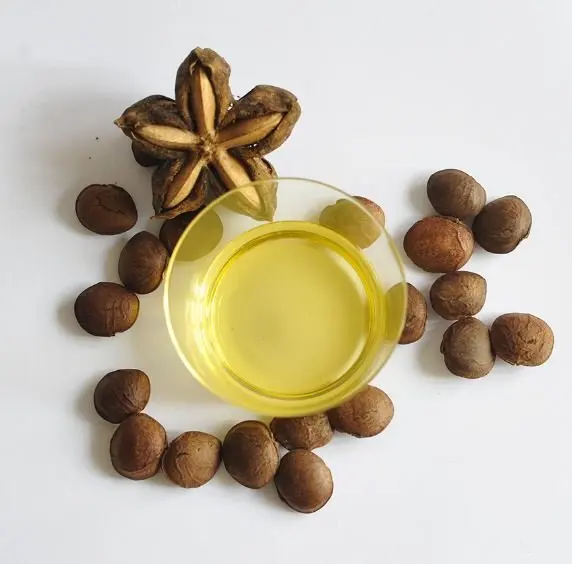 Wholesale Price Sacha Inchi Oil New For Cosmetics/massage Sacha Inchi ...