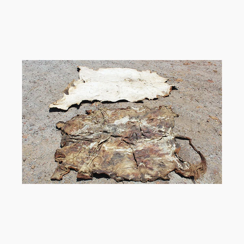 Dry Salted Cow Hides / Raw Salted Cow Hides Buy Best Price Dry And