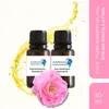 Pale yellow to colorless fluid liquid