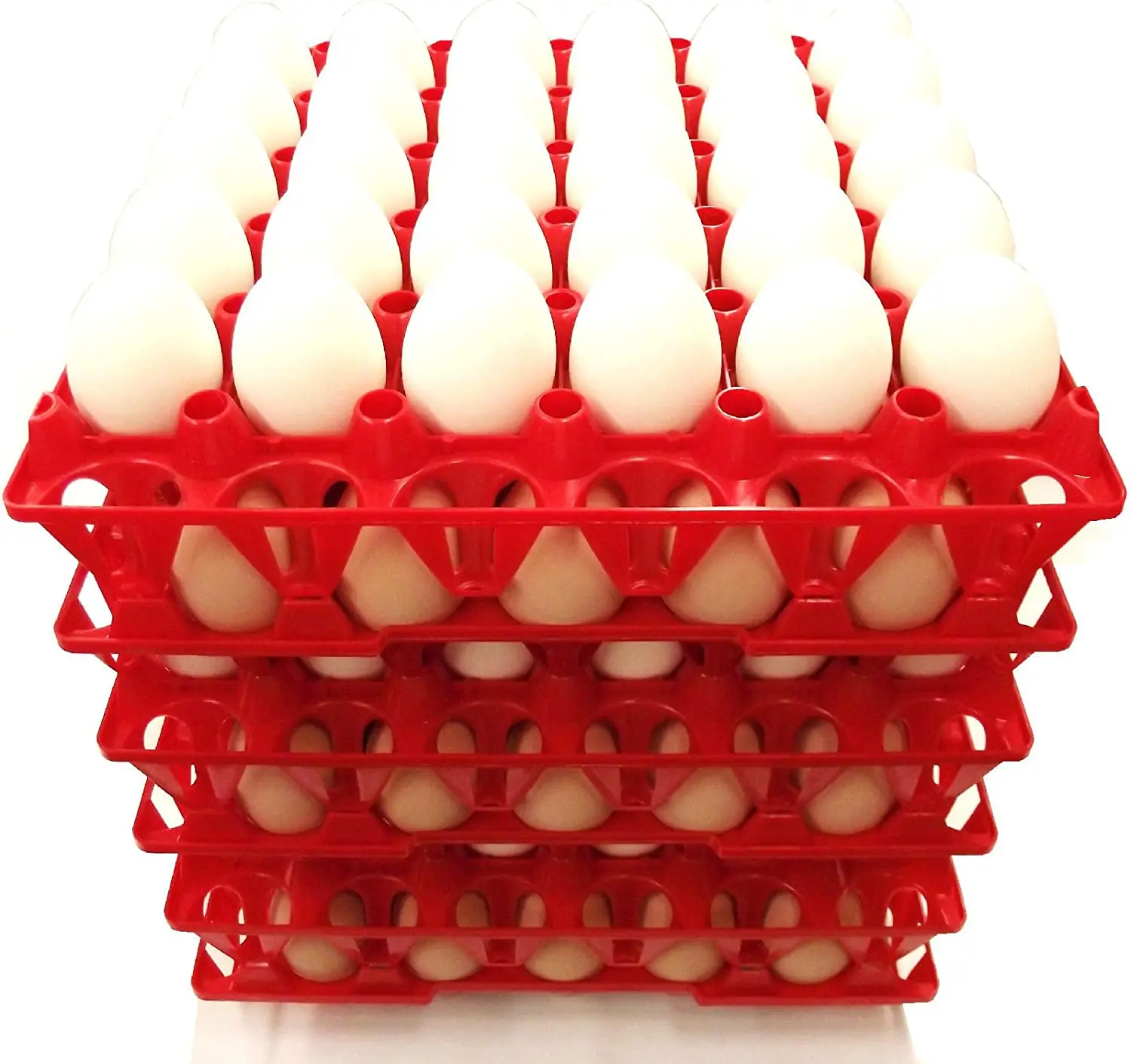eggs30.jpeg