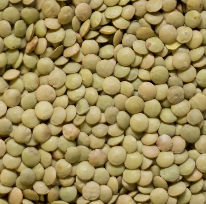 Green Lentils7.jpg