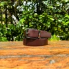 Chocolate Brown