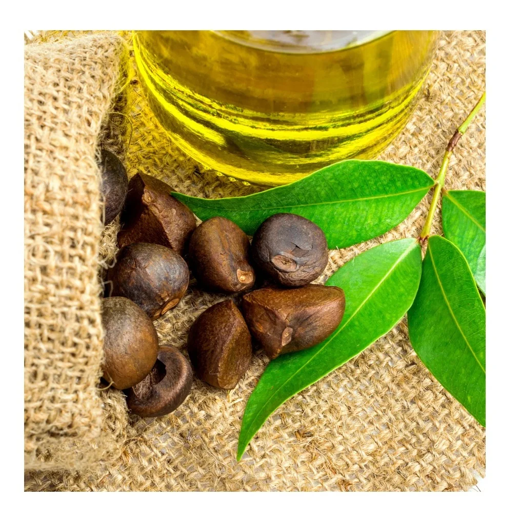 Высококачественное Чистое рафинированное масло семян камелии для продажи по самой низкой оптовой