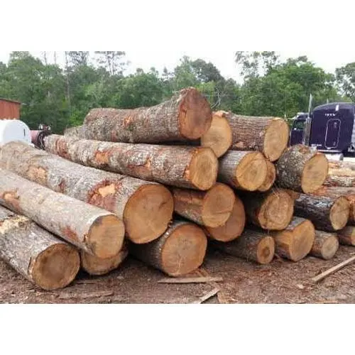 teak wood logs.jpeg