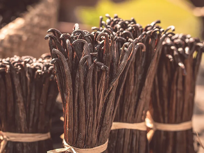 vanilla-beans.jpg