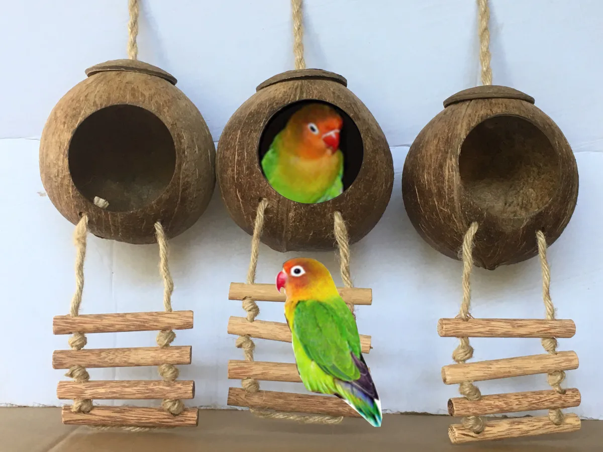 Wholesale Coconut Bird Nest Coconut Shell Bird House/ Coconut Shell