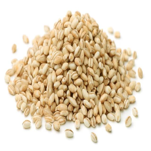 barley 8.jpg