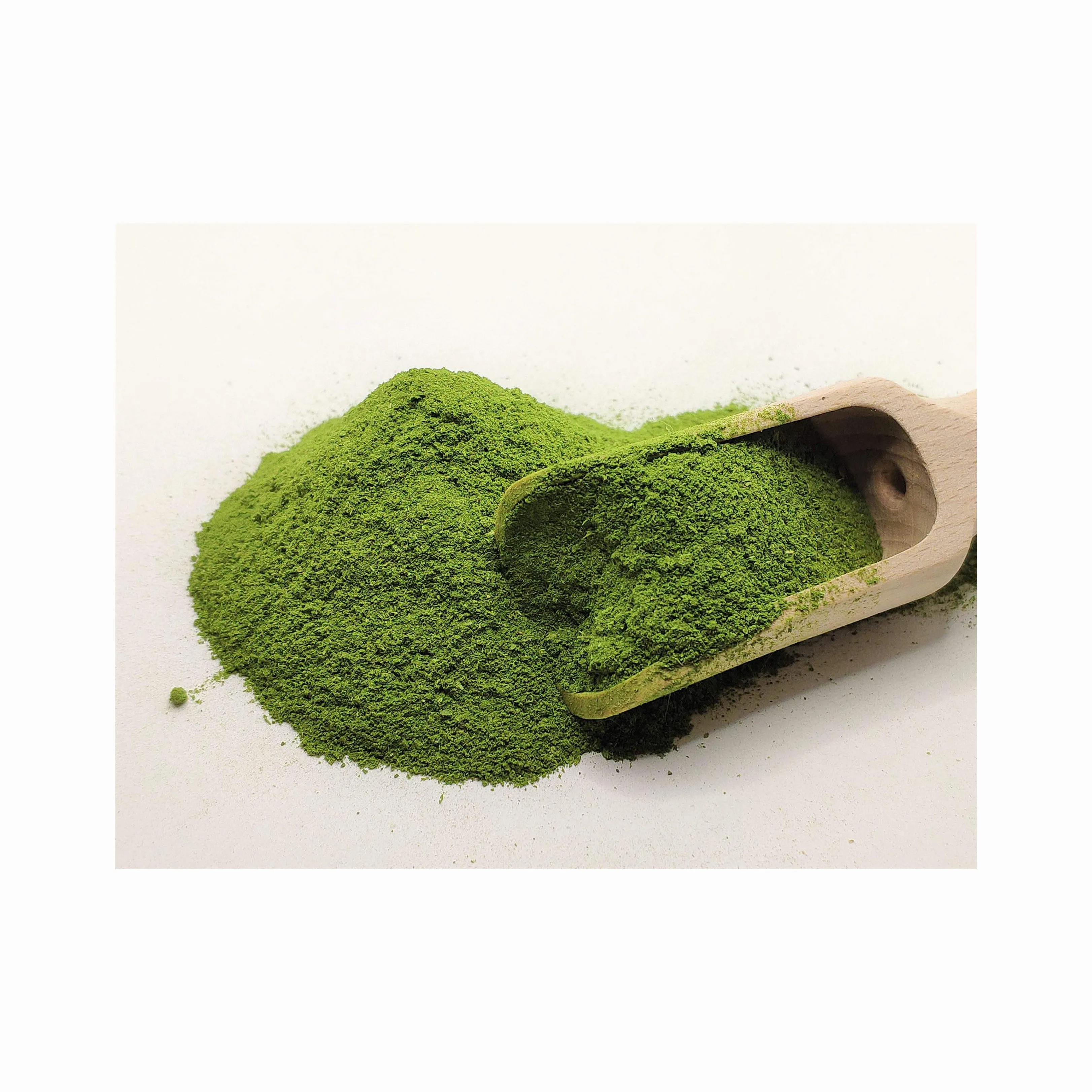 Vegetable Powder Spinach Extract Spinach Powder Buy Dry Organic