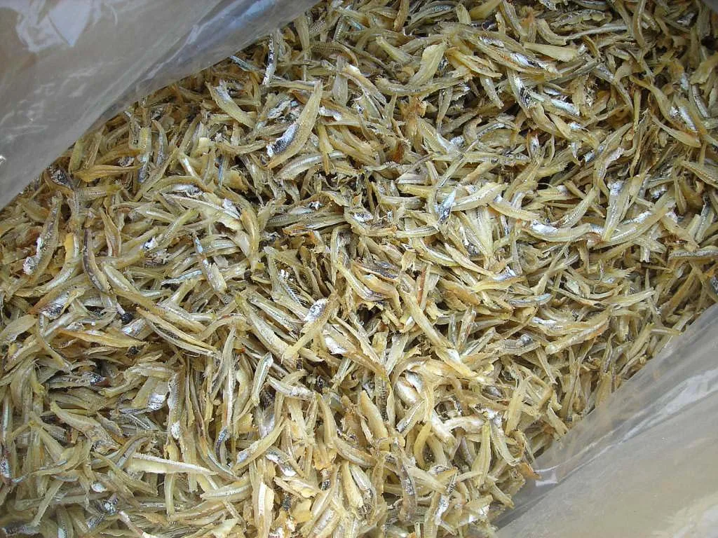 Hot Sales 2023 For Sun Dried Anchovy Fish Dried Anchovy Fish Dried