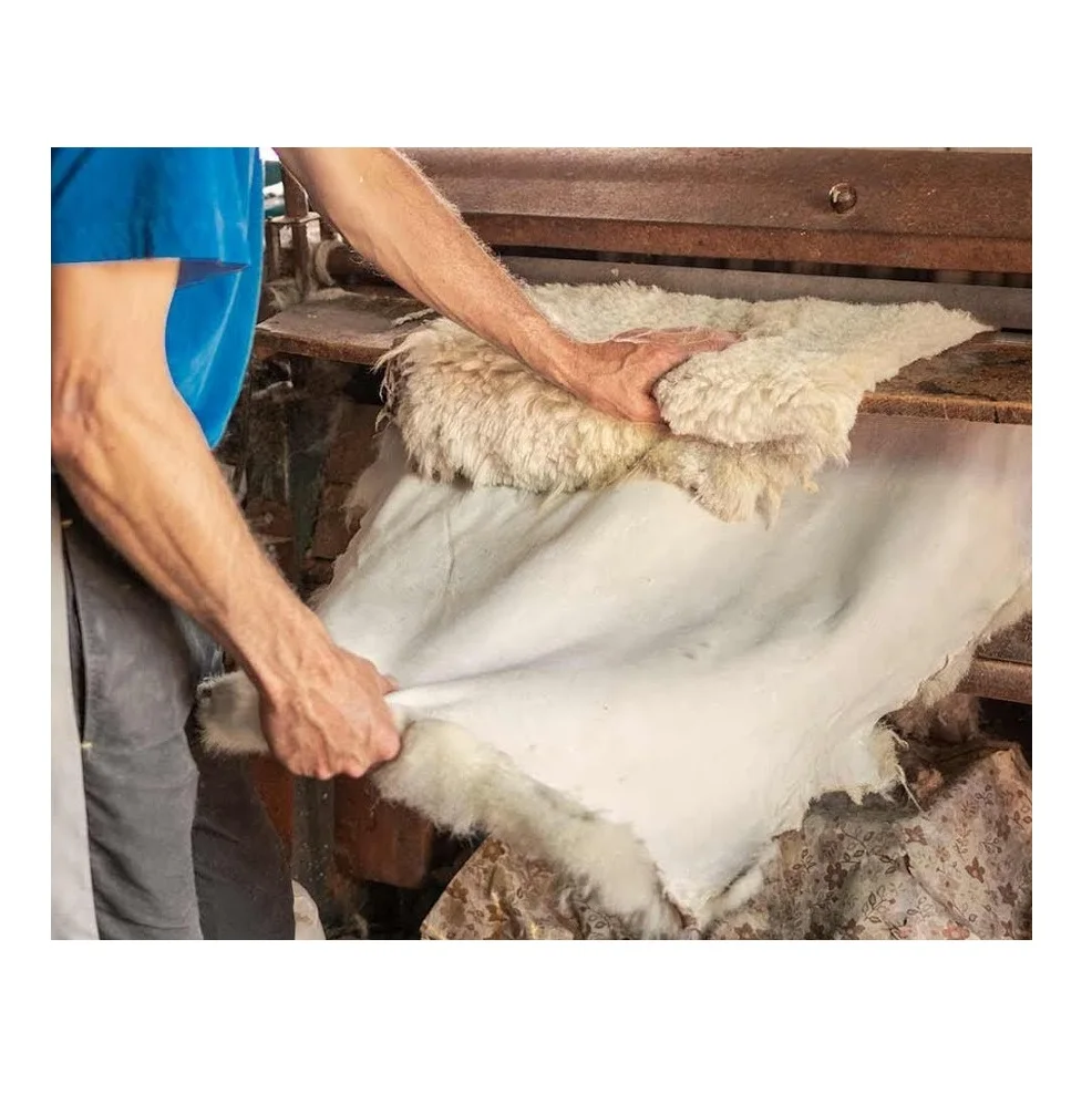 超歓迎即納 羊皮ウェット塩漬け Buy High Quality Wet Salted Sheep Skins Sheep Hides At