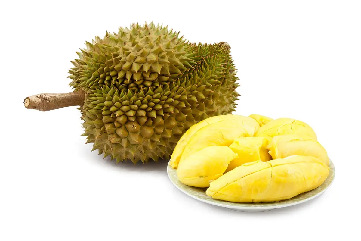 Sweet Fresh Durian Pack in Box From Thailand /  Fresh and Frozen Organic Durian Monthlong OEM Offered Yellow Tropical Style Thai