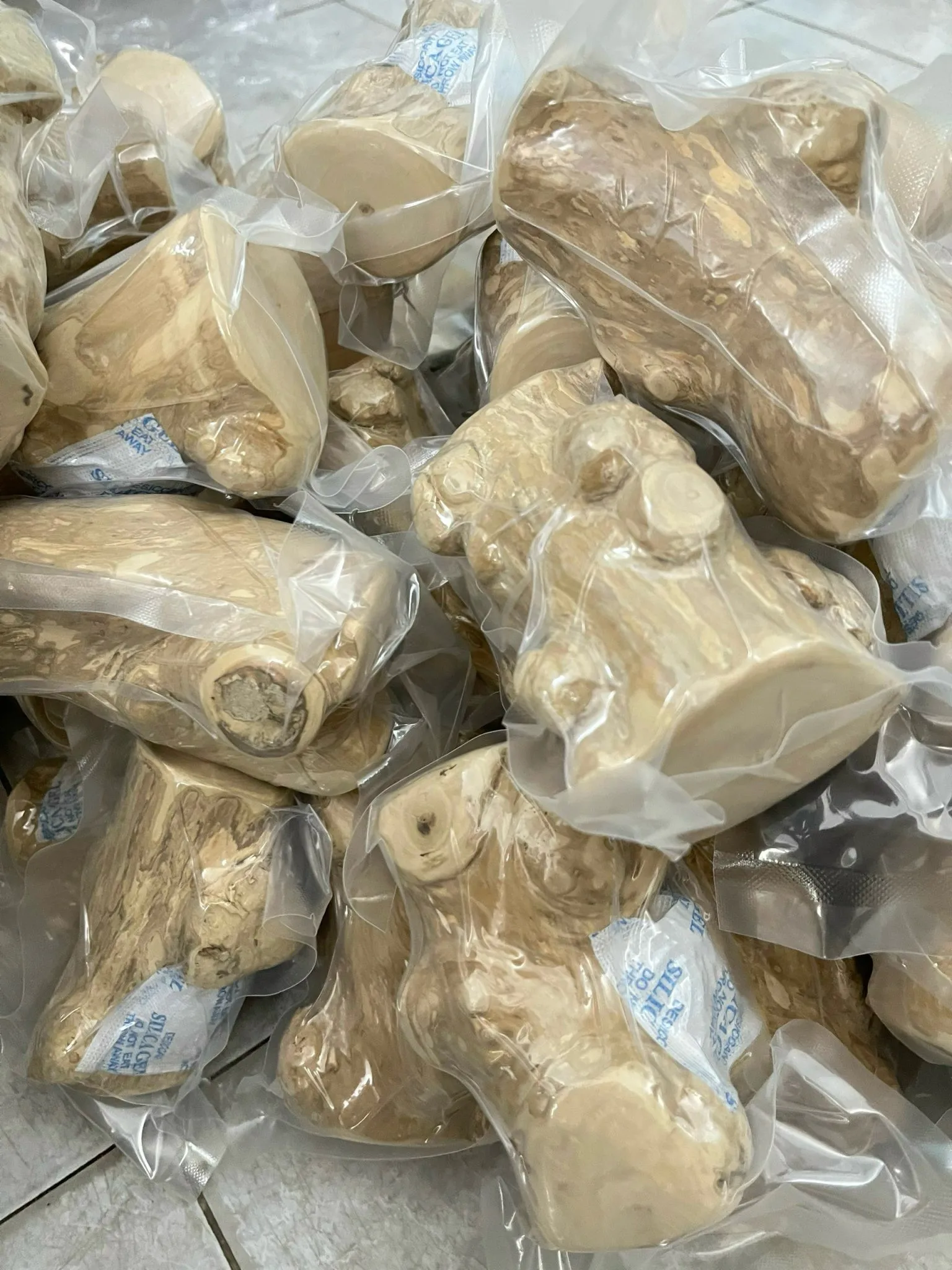 Gorilla Chew Large Coffee Wood Chew Toys For Dogs Best Choice For