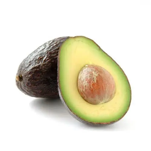 Wholesale Fresh and Frozen Top Grade Avocado Fruits at Good Price