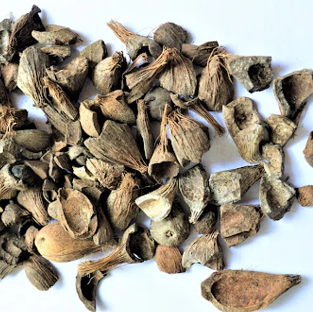 Friendly Fuel Industry Palm Kernel Shell Indonesia PKS Palm Shell High Active Carbon for Palm Kernel Charcoal Raw Material