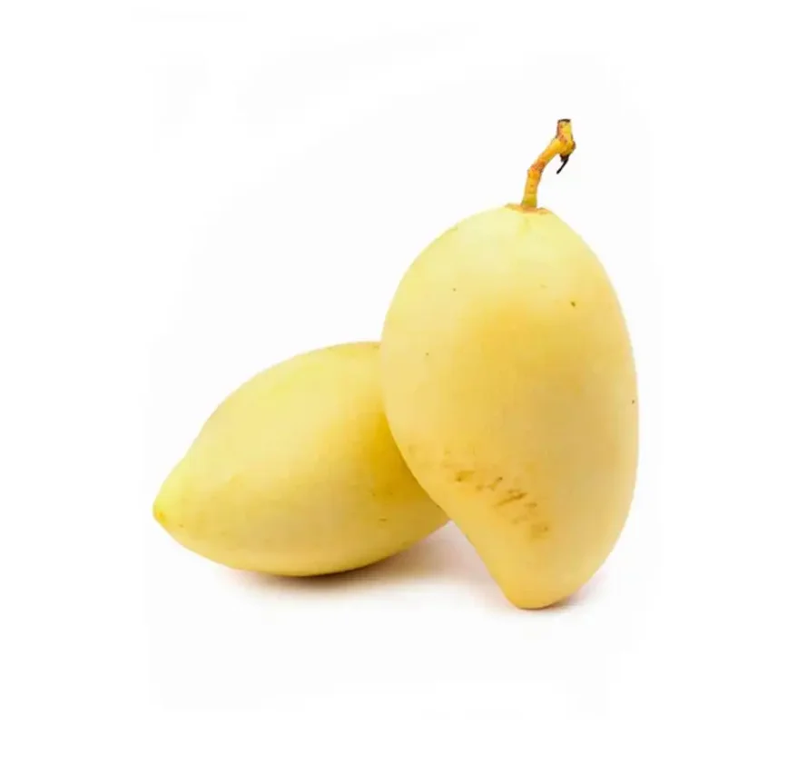 0100 (5).png