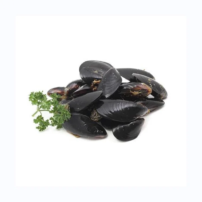 Frozen Mussels Clam Oyster Blue Mussel Scallop Shellfish Buy Fresh Peeled Frozen Scallop Meat