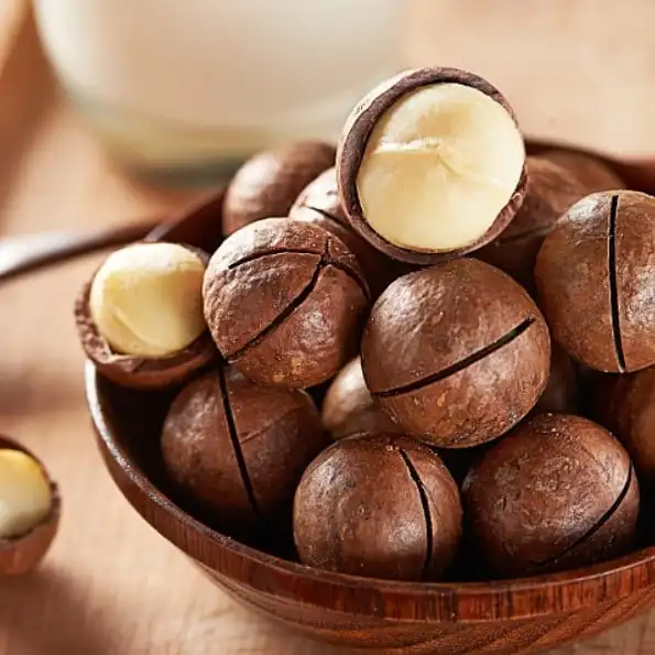 Wholesale 500g Raw & Roasted Macadamia Nuts  Premium Macadamia Kernels