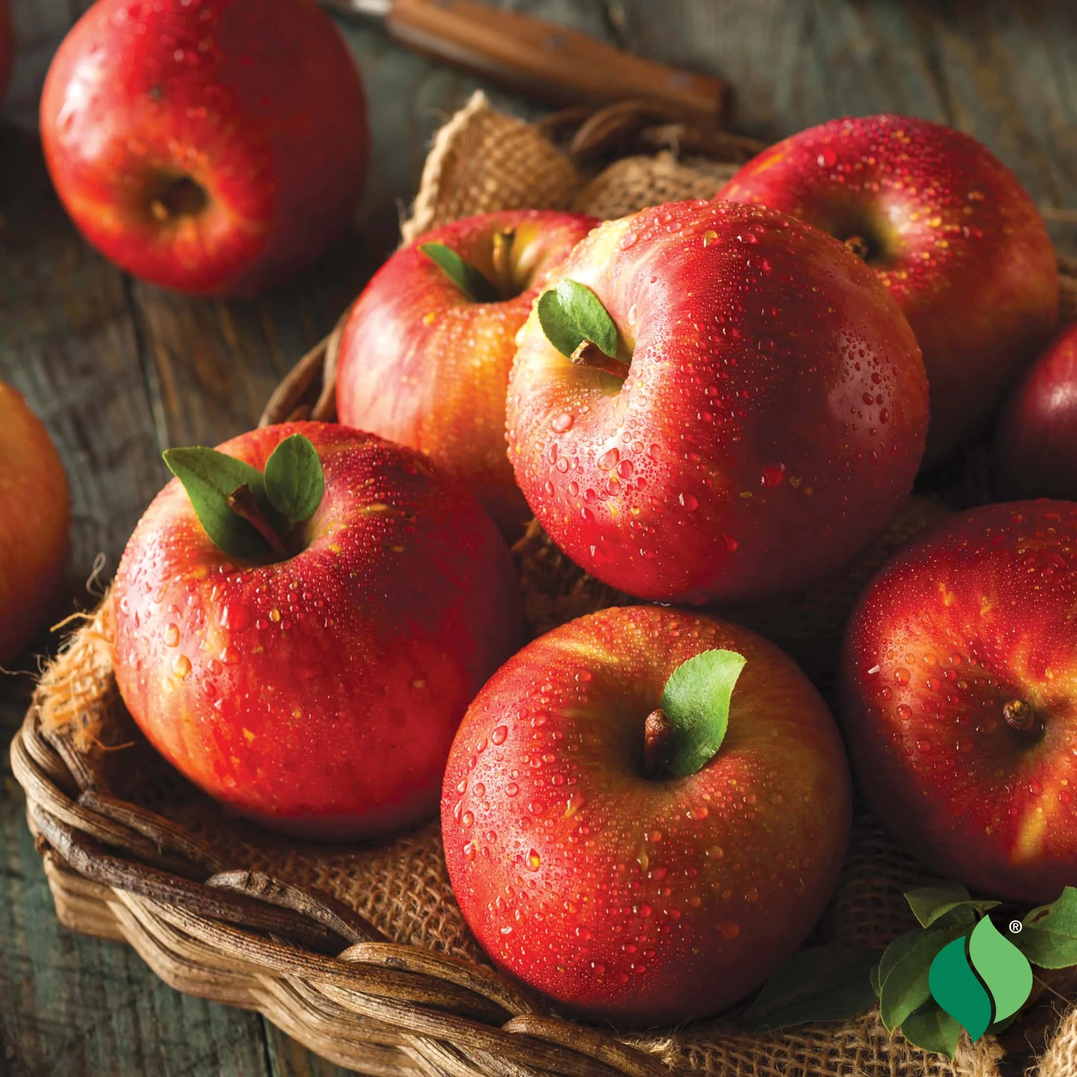 Fresh Organic Red Delicious Apples Natural and Healthy Fruits for Sale