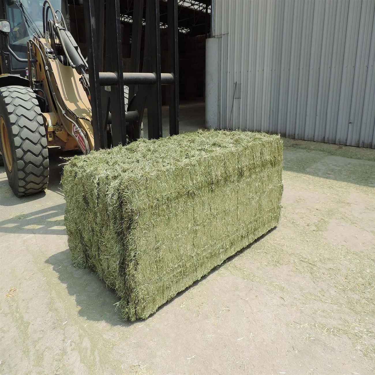 Alfafa Hay For Animal Feeding Stuff Alfalfa / Timothy / Alfalfa Hay For