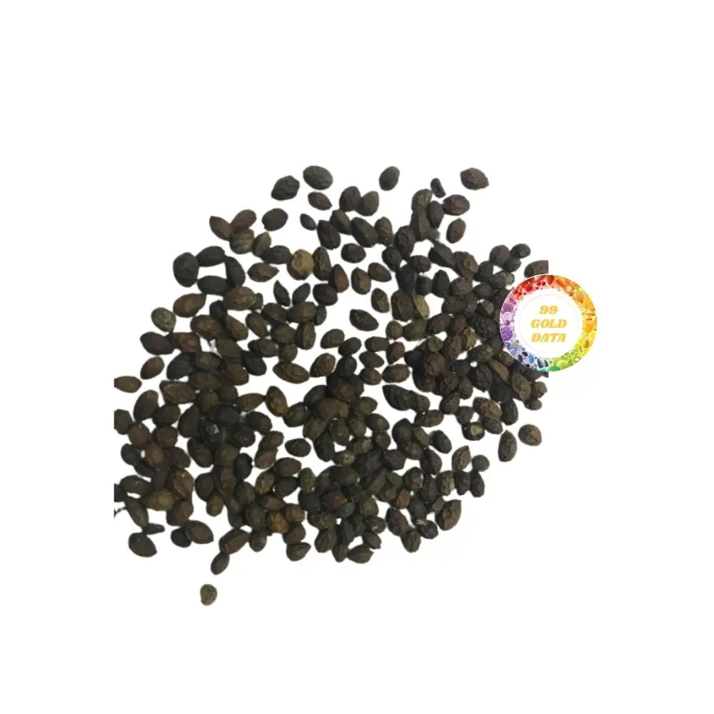 天然乾燥パパイヤ種ハーブドリンク用プレミアムレッドレディ乾燥