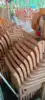 Madera de teca