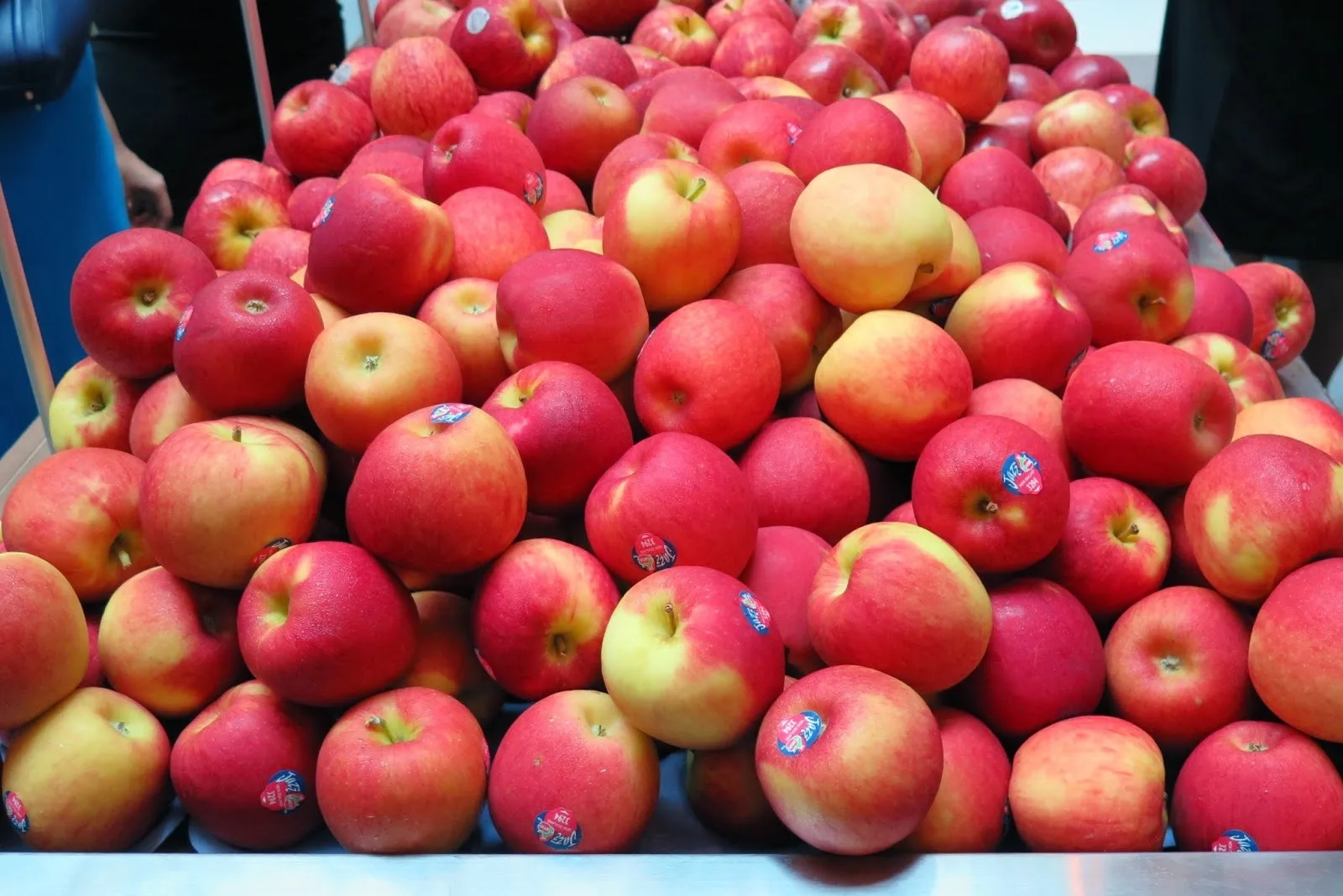 Organic Queen Apple Fresh Fuji and Gala Hybrid with Sweet Taste