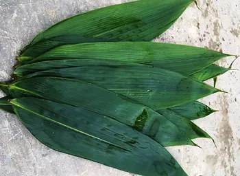 A845b5e7813464981a0f85d177502e