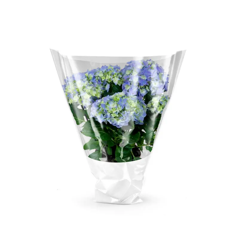 Customizable Macro Cast PP 40 Micron Perforated 2-Sided Plastic Bags Moisture Proof Packaging for Plants and Flowers Available