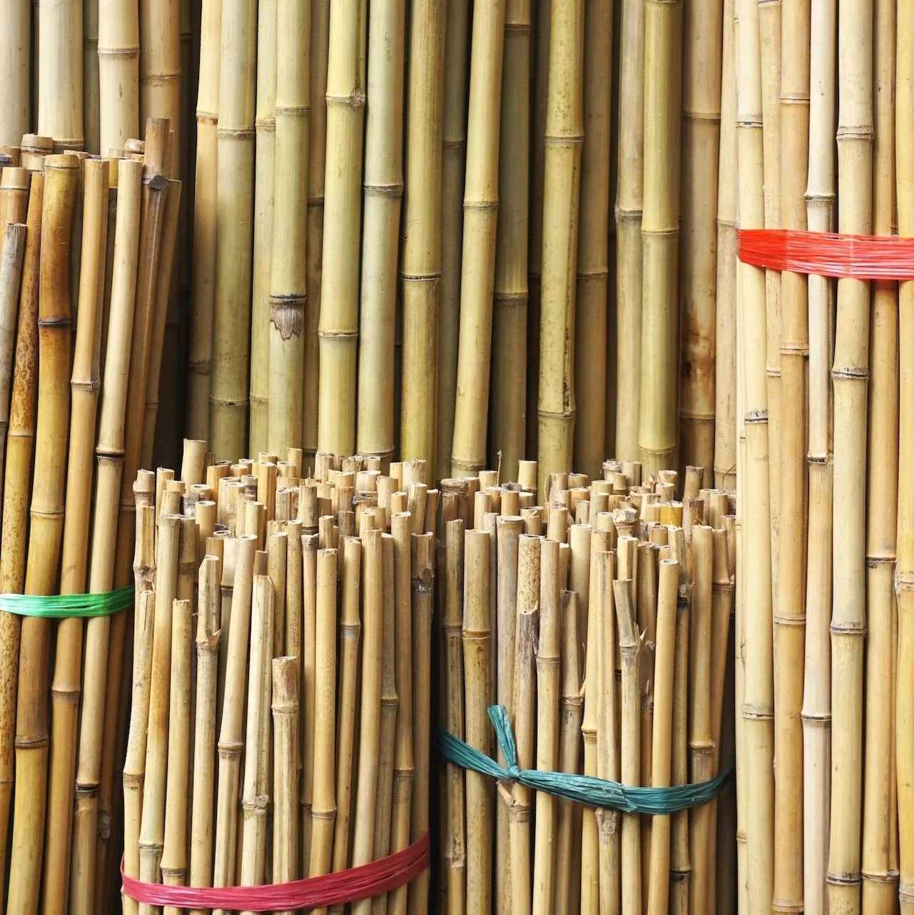 Natural Bamboo Poles Strong Bamboo Canes Wholesale Top Grade Bamboo ...