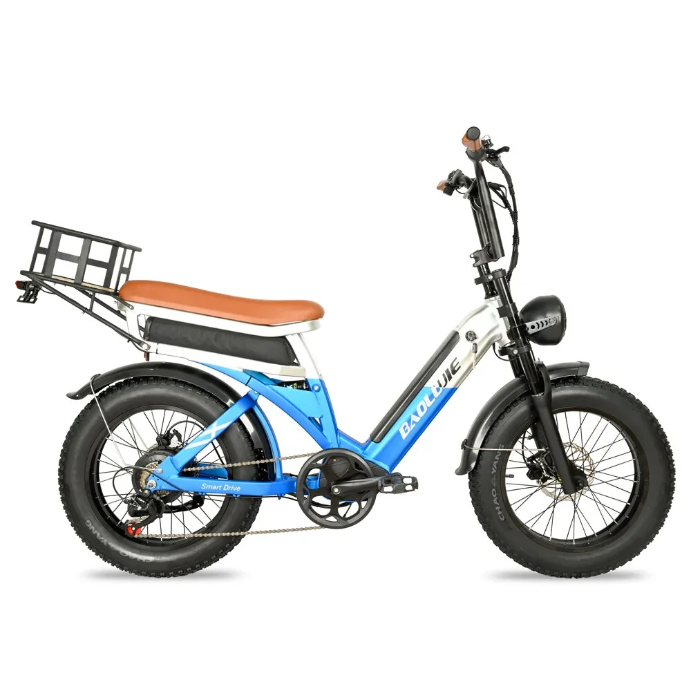 [EU DIRECT] BAOLUJIE DP2033 Electric Bike 48V 30AH Battery 1000W Motor 20inch Tires 90-100KM Max Mileage 120KG Max Load Electric